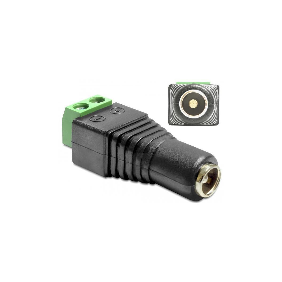 Delock 65485 Adapter Terminalblock 2Pin naar DC 2,5 x 5,5mm Buchse