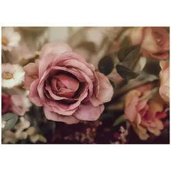 FOTOTAPETE Blumen Rosen Rosa 400x280 cm