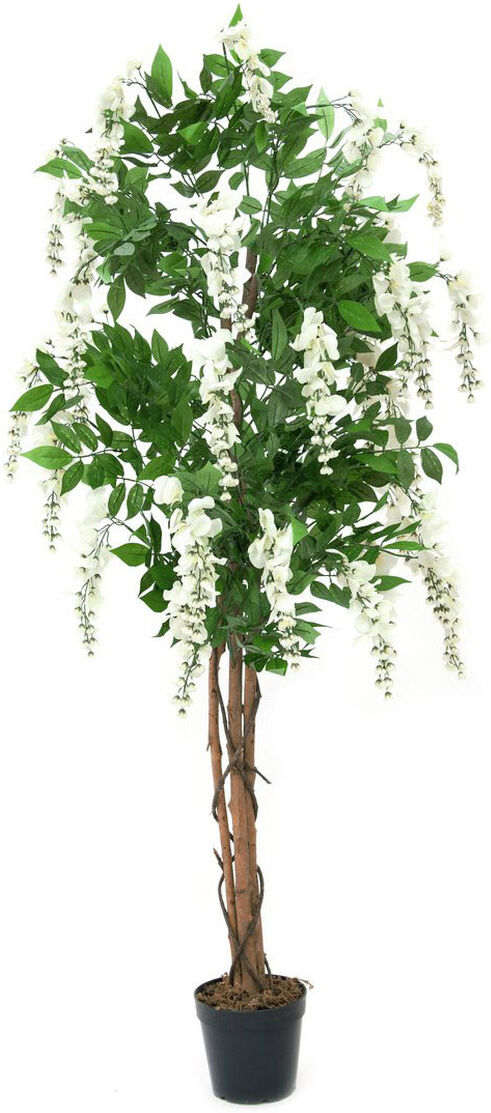 Europalms Goldregenbaum, Weiß, 180cm