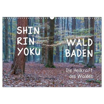 Shinrin yoku - Waldbaden 2027 (Wandkalender 2027 DIN A3 quer), CALVENDO Monatskalender