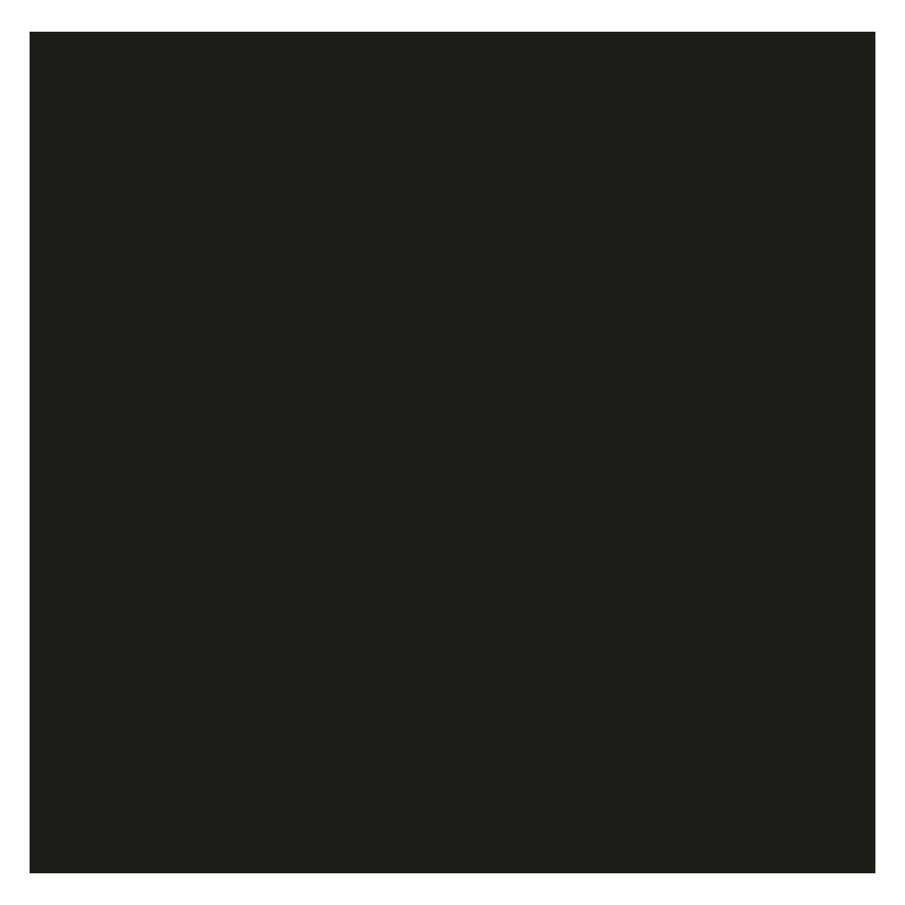Falcon Eyes Stoffhintergrund BCP-02 6x6 m Schwarz (600 cm, 600 cm) (2962299)