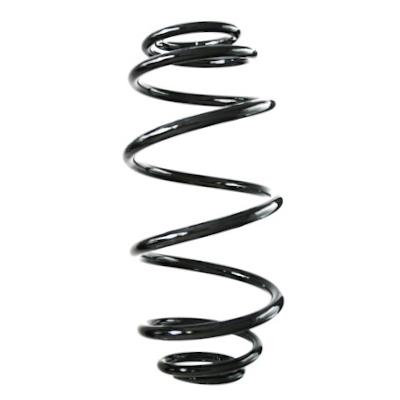 SPIDAN Fahrwerksfeder gknw10169 Hinterachse für Mercedes