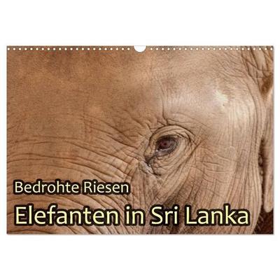 Bedrohte Riesen - Elefanten in Sri Lanka (Wandkalender 2027 DIN A3 quer), CALVENDO Monatskalender