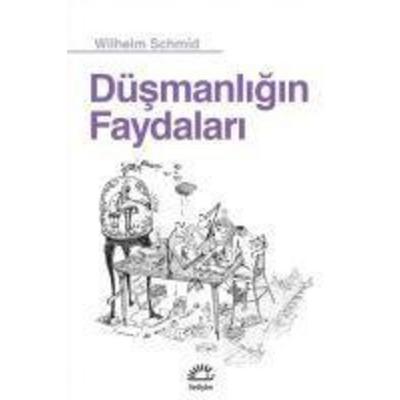 Düsmanligin Faydalari, Taschenbuch von Wilhelm Schmid, Iletisim Yayinlari, 978-975-05-3124-8