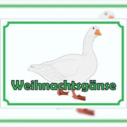 HB-Druck Werbeaufkleber Weihnachtsgans Aufkleber A0 (841x1189mm)