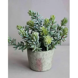 Künstliche Sukkulente im Dekotopf, 19 cm, grün