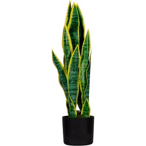 meet-powered-by-PAPERFLOW Kunstpflanze Sansevieria, im Topf, Höhe 65 cm