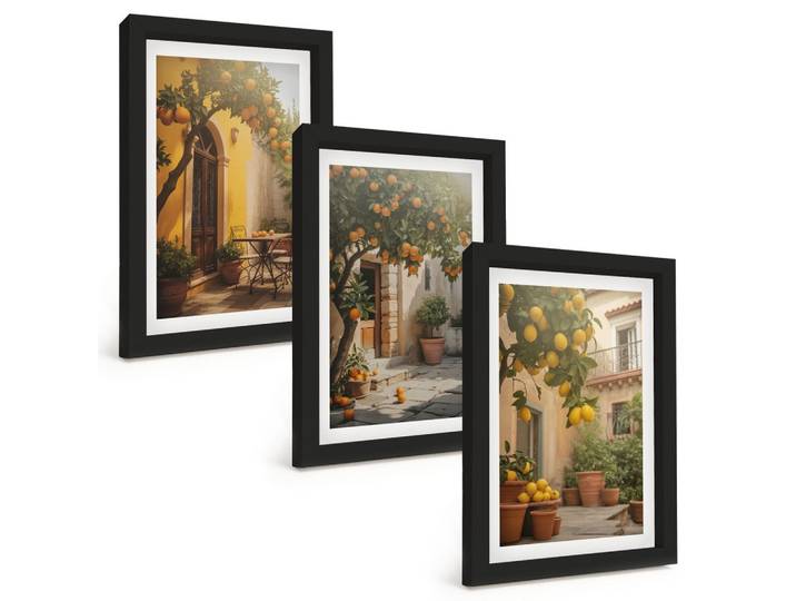 BILDER SET 3er Set - 20x30 cm Schwarzer Rahmen - Zitrustöpfe für sonnige Terrassen