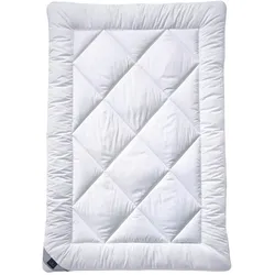 Billerbeck Ballade Bettdecke superlight - 200x200cm