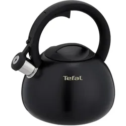 Tefal Czajnik nieelektryczny N4180410, Wasserkocher, Schwarz