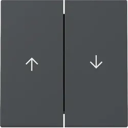 Gira 329428 Wippe 2f Pfeil System 55 Anthrazit