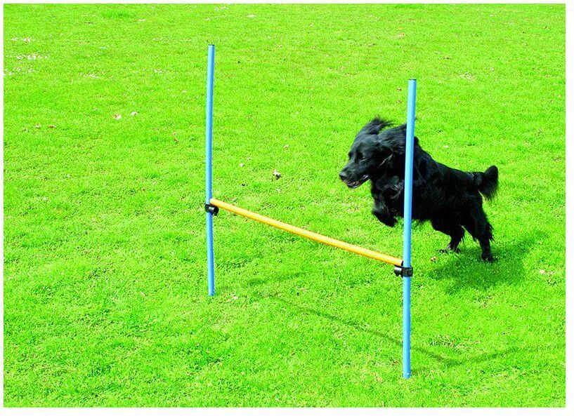 Pawise - Agility Hurdle 116cm height - (636.9002)