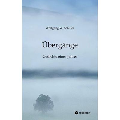 Übergänge, Taschenbuch von Wolfgang W. Schüler, Tredition, 978-3-384-69981-7