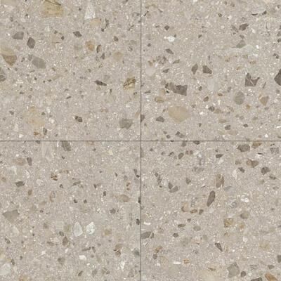 The Tile Life Pantheon Terrazzo 24 x 24 Porcelain Floor and Wall Tile