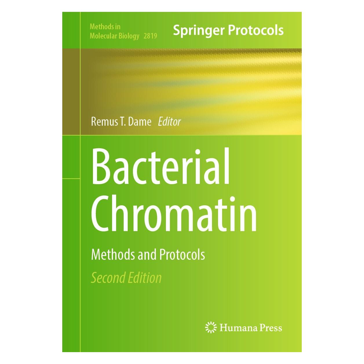 Springer Bacterial Chromatin (Englisch, Hardcover, Remus T. Dame) (9781071639290)