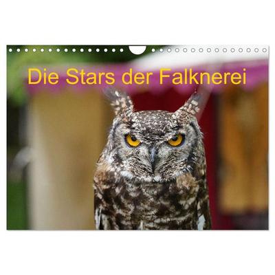 Die Stars der Falknerei (Wandkalender 2027 DIN A4 quer), CALVENDO Monatskalender