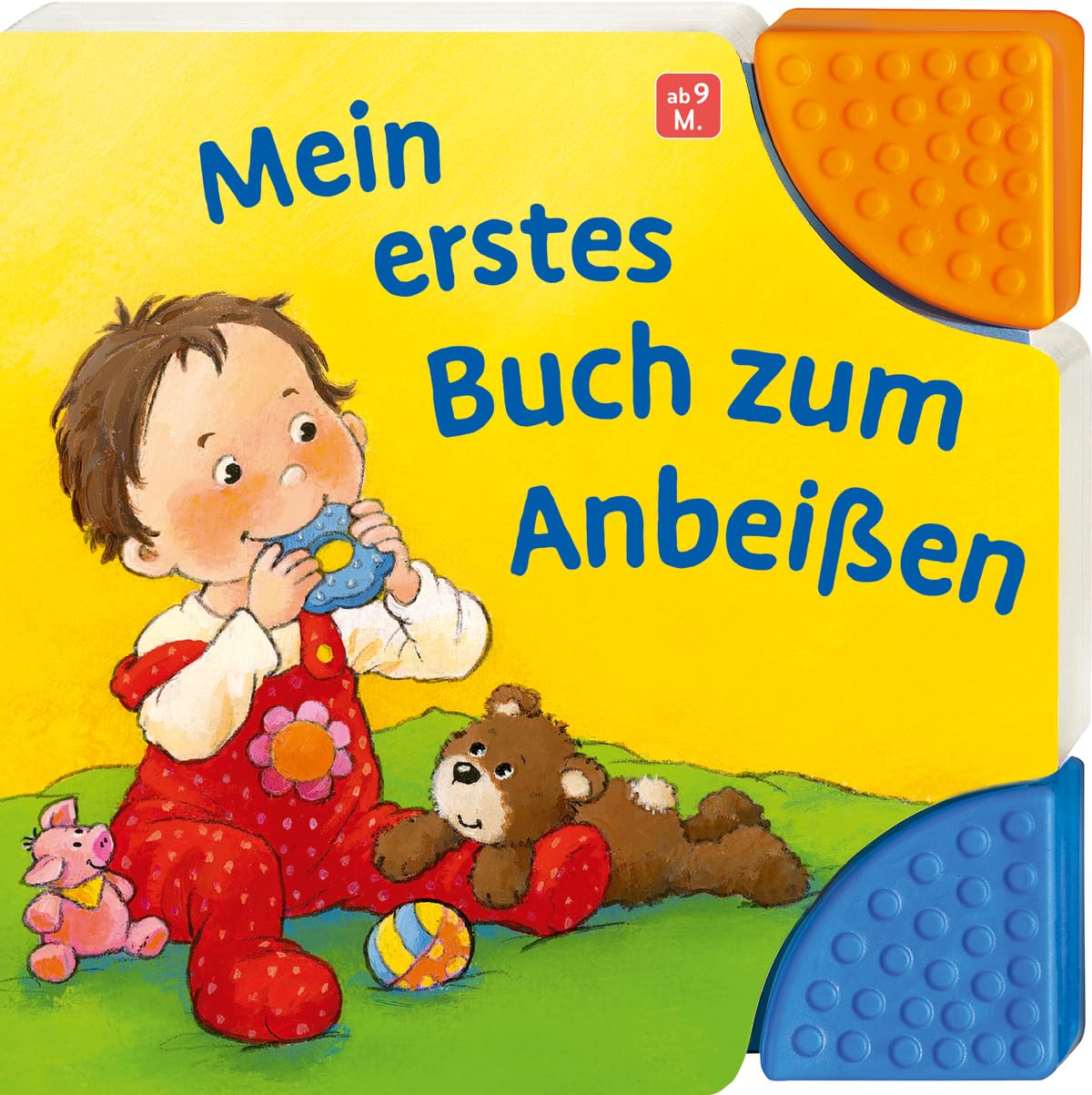 Regina Schwarz - Mein erstes Buch zum Anbeißen: Pappbilderbuch mit bunten Beißecken - ab 6 Monaten - Beißbuch - hilft beim Zahnen - Preis vom 10.10.2026 11:48:34 h
