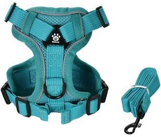 Uplift Essentials Reflective Breathable Step In Pet Harness & Leash Set turquoise s