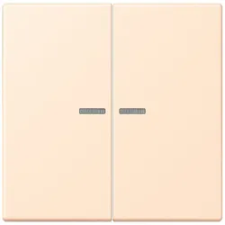 Jung Wippe mit Lichtleiter LC 102 KO5 238