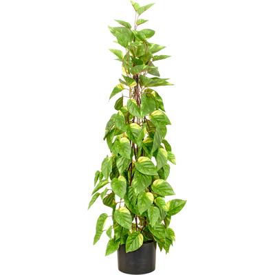 Kunstpflanze CREATIV GREEN "Epipremnum", grün, H:95cm, Obermaterial: 100% Kunststoff, Kunstpflanzen, Kunstpflanze, in Pyramidenform