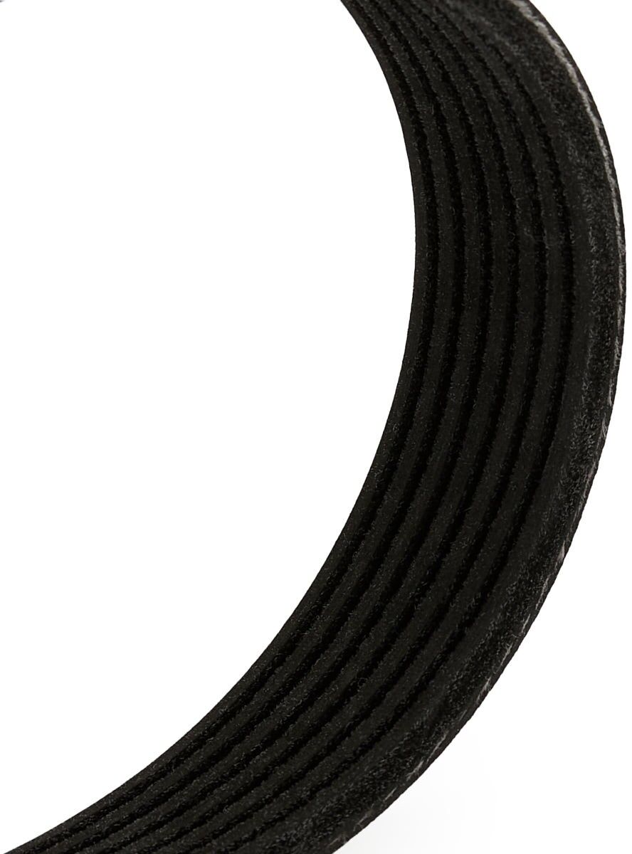 RIDEX 305P0866 Multiriem
