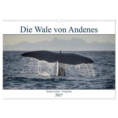 Die Wale von Andenes (Wandkalender 2027 DIN A3 quer), CALVENDO Monatskalender