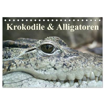 Krokodile & Alligatoren (Tischkalender 2027 DIN A5 quer), CALVENDO Monatskalender