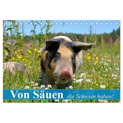 Von Säuen die Schwein haben! (Tischkalender 2027 DIN A5 quer), CALVENDO Monatskalender