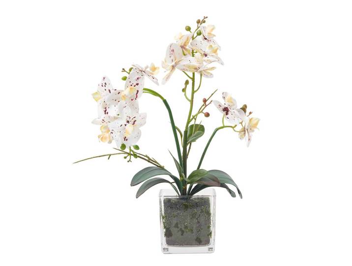 KUNSTBLUME Orchidee weiß-pink im Glas-Topf, 42 cm