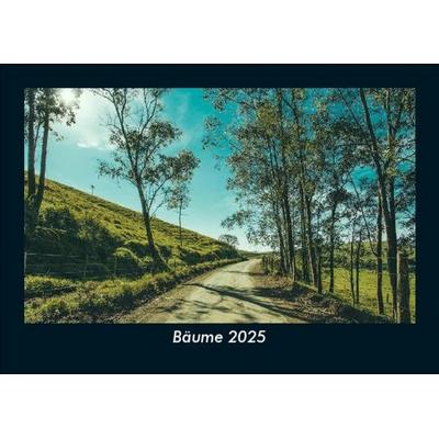 Bäume 2025 Fotokalender DIN A5