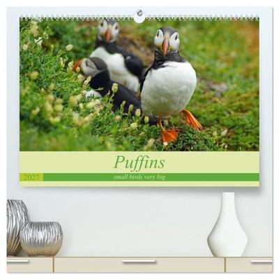 Puffins - small birds very big (High Quality Premium Wall Calendar 2027 DIN A2 landscape),CALVENDO 12 Month Wall Calendar