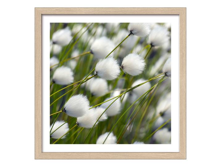 Image en bois Fleurs blanches séchées Verre flotté, MDF Blanc/Vert 33 x 33 x 1cm