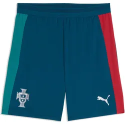 Puma, Herren, Sporthose, FPF Training Shorts w/ pockets (S), Silber, Blau