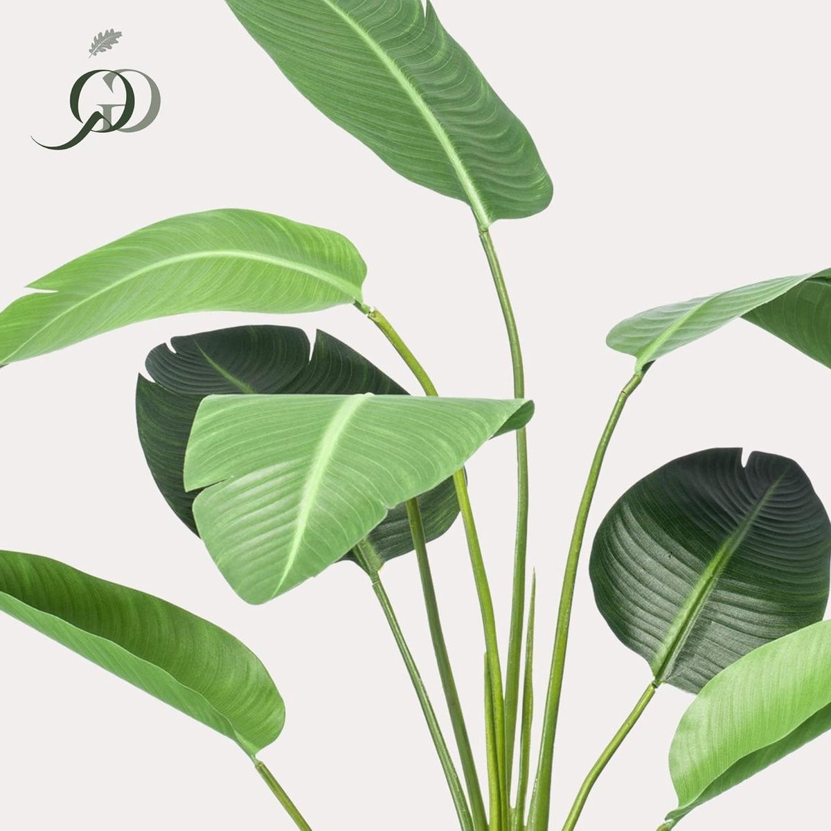 Kunstplant Strelitzia Paradijsvogelbloem - Groen - Hoogte: 120 cm