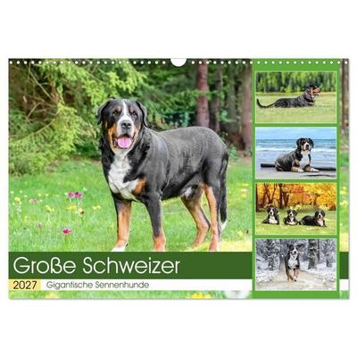 Große Schweizer - Gigantische Sennenhunde (Wandkalender 2027 DIN A3 quer), CALVENDO Monatskalender