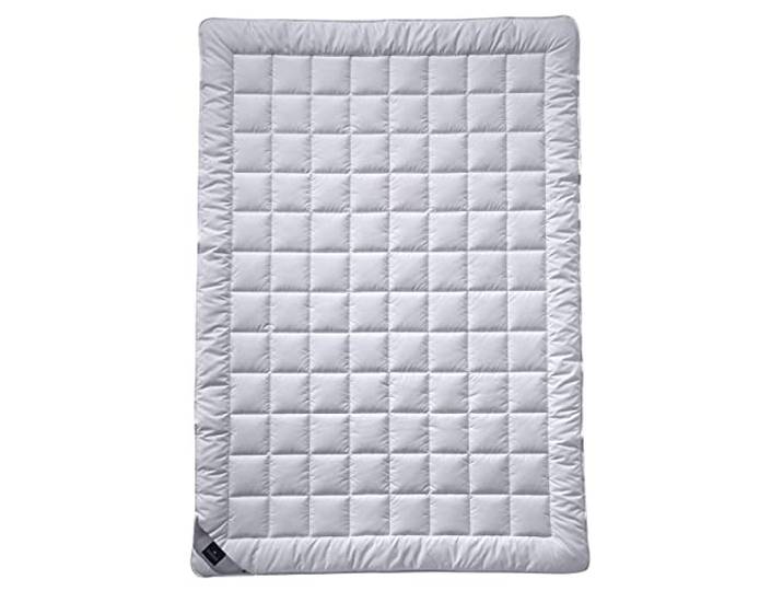 Billerbeck Natur 543 Sari Superlight Natur-Decke
