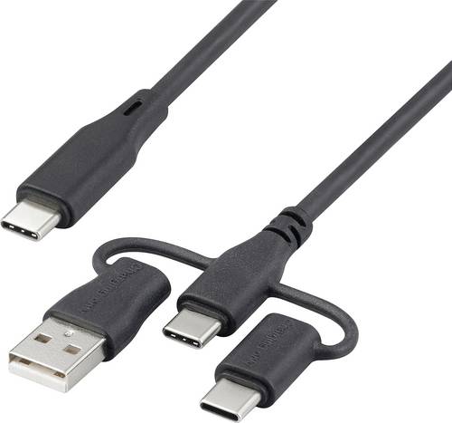 Renkforce USB-Ladekabel USB 2.0 USB-C 3.00m Schwarz RF-6615910