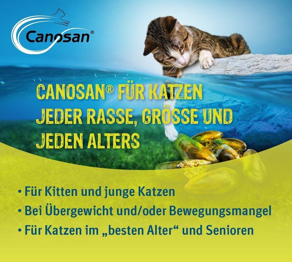 2x Canosan Kautabletten bei Gelenkproblemen Katze mit Grünlippmuschel-Extrakt Gonex 2x30 St