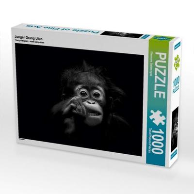 CALVENDO Puzzle Junger Orang Utan 1000 Teile Puzzle quer | 1000 Teile Lege-Größe 64 × 48 cm Foto-Puzzle für glückliche Stunden