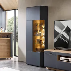 Wohnzimmer Schrank Standvitrine in Dunkelgrau mit Glastür