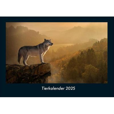 Tierkalender 2025 Fotokalender DIN A4