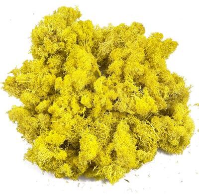 Inspire Select Artificial Reindeer Moss Decor Faux Green Moss For Crafts, Potted Plants & Wall Art yellow 2.8 Oz