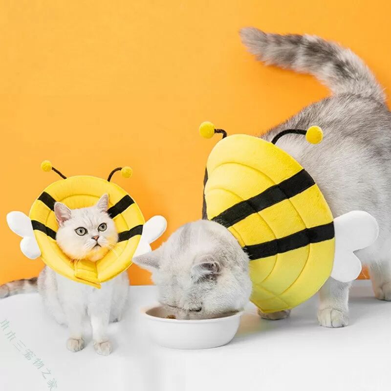 INF Verstellbarer Halskragen für Katzen und kleine Hunde – Bienen-Design, weicher Halskegel L