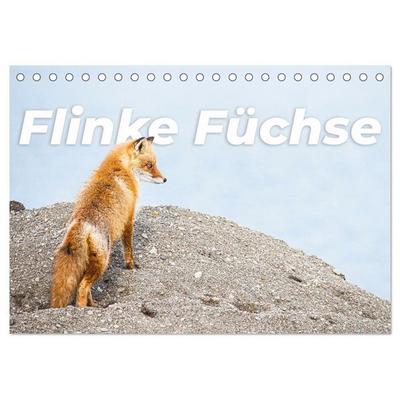 Flinke Füchse (Tischkalender 2027 DIN A5 quer), CALVENDO Monatskalender