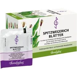 Spitzwegerichblätter 28 G