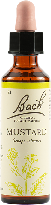 Schwabe Pharma Italia Mustard Bach Original 20 Ml