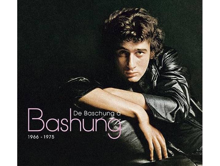De Baschung a Bashung