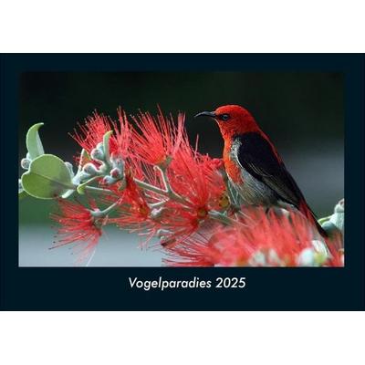 Vogelparadies 2025 Fotokalender DIN A4