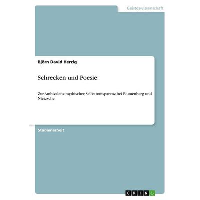 Schrecken und Poesie, Taschenbuch von Björn David Herzig, GRIN, 978-3-640-50238-7