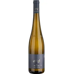 Nigl Riesling Ried Hochäcker Privat 1ÖTW Erste Lage DAC 2023